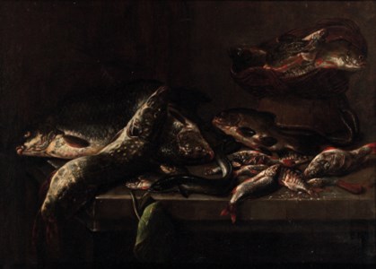 Carp, pike, eel, perch and other fish on a stone ledge