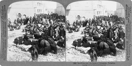 'Old Testament Travels through the Stereoscope', 1904; 'Physical Geography through the Steroescope', 1903 and others