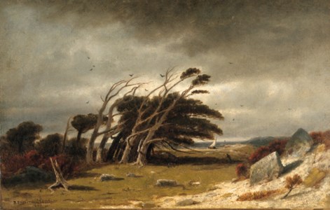 Monterey