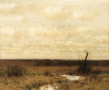 Meadow and Sky