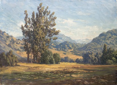 Eucalyptus Grove