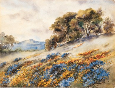 Field of Wildflowers