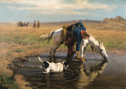 The Watering Hole