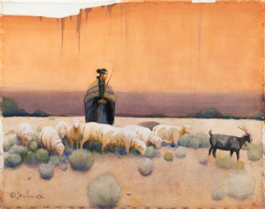 In the Shadow of the Canyon