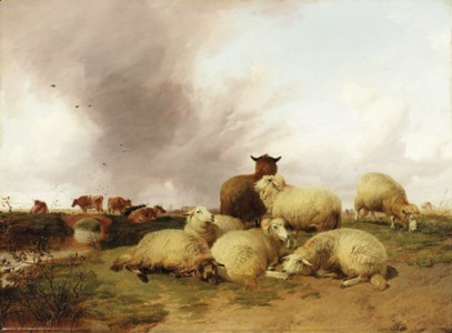 Out to pasture