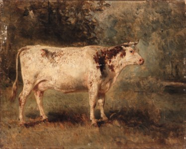 A Cow in Landscape