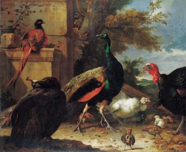 A peacock, a peahen, a pheasant, a turkey, a cockerel and chicks by a wall, a landscape beyond