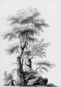Two studies of trees