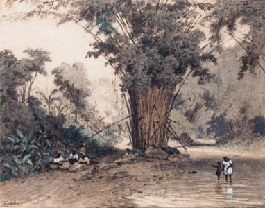 Landscape with a bamboo Grove