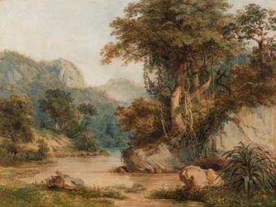 Brazilian Landscape