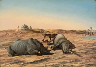 White Rhinoceroses shot by James Chapman at his scherm at the pool of Kangyou, on the night of June 1st, 1862