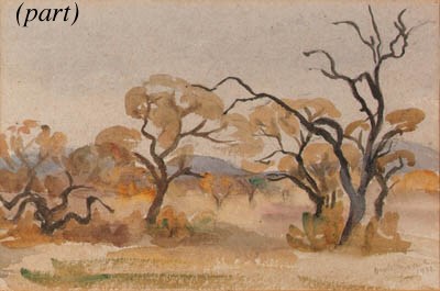 Northern Transvaal Landscapes