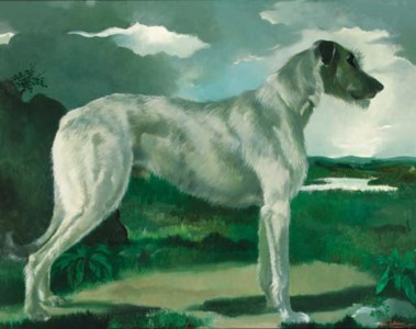 Portrait of an Irish Wolfhound