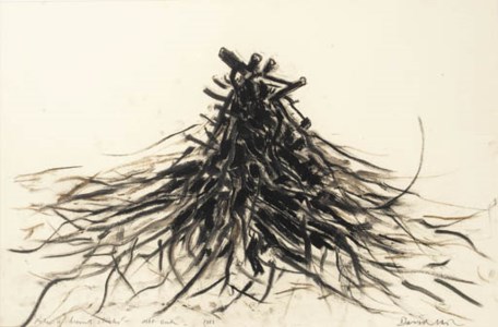 Pile of Burnt Sticks