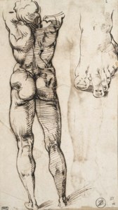 A nude seen from behind and a study of a foot ( recto ); Two studies of arms and a head ( verso )