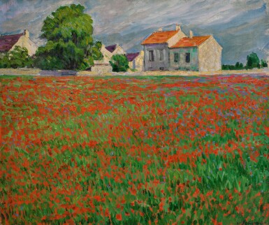 Champ de coquelicots