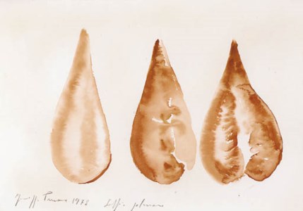 Soffio polmonare