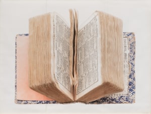 Dictionary