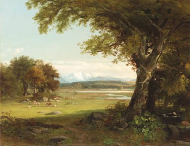 Sheep Grazing in the Meadow