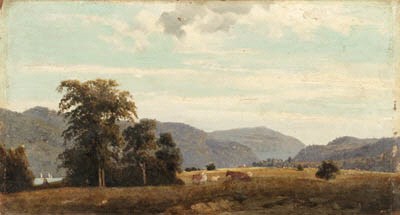 The Meadow