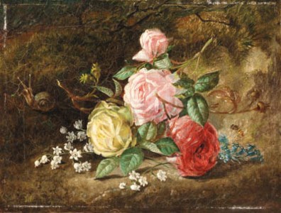 American Roses