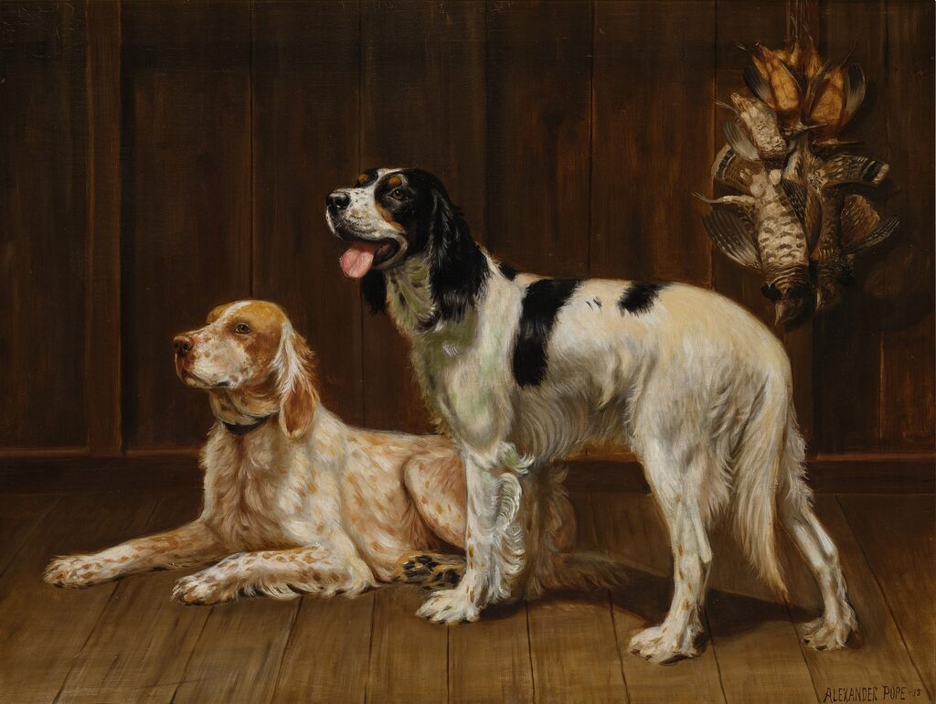 A Pair of Setters