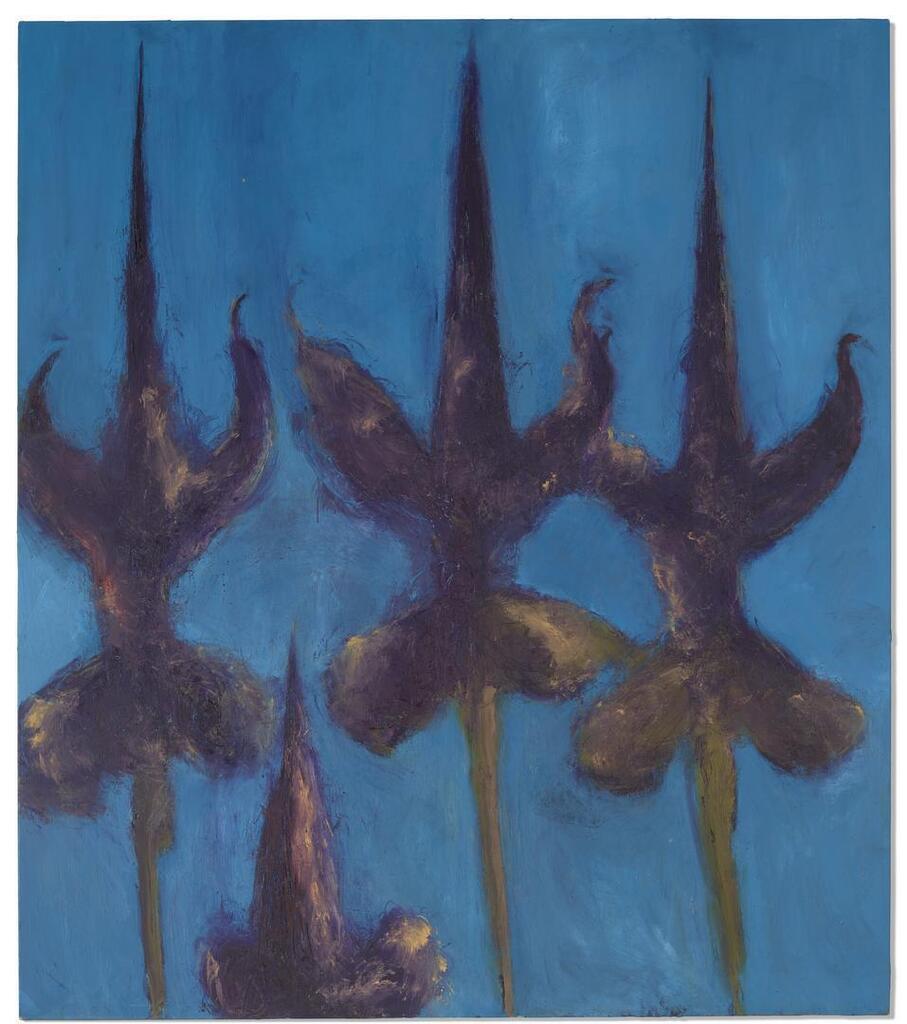 Iris Auranitica