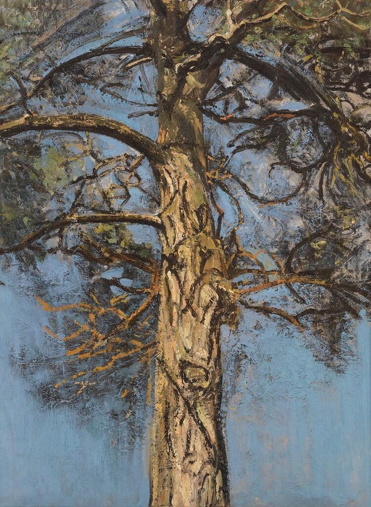 Pine Tree I
