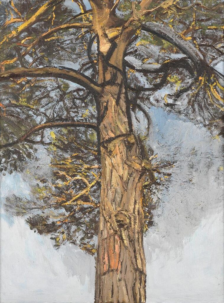 Pine Tree III