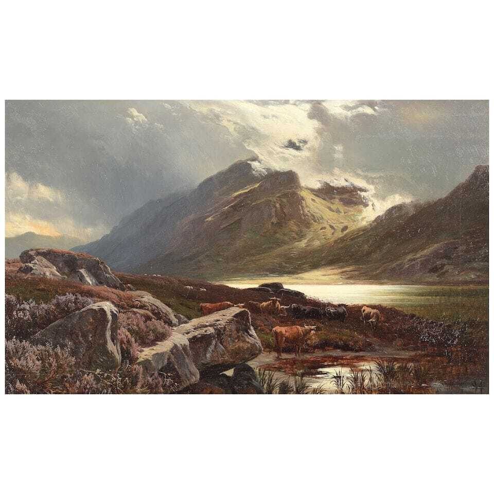 Cattle watering in the Highlands