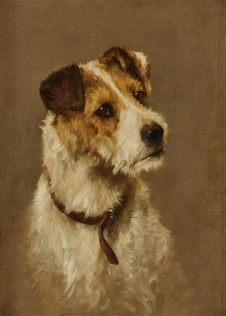Rough and Ready, Portrait of a Wire-Haired Fox Terrier