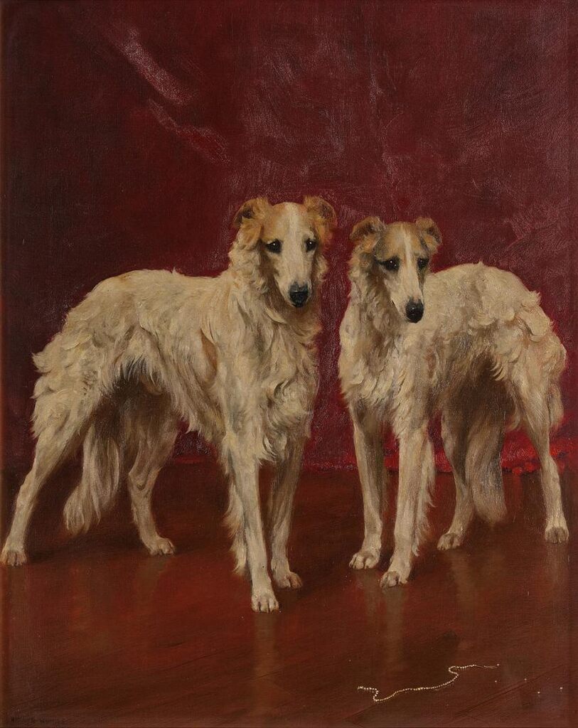 Two Borzois