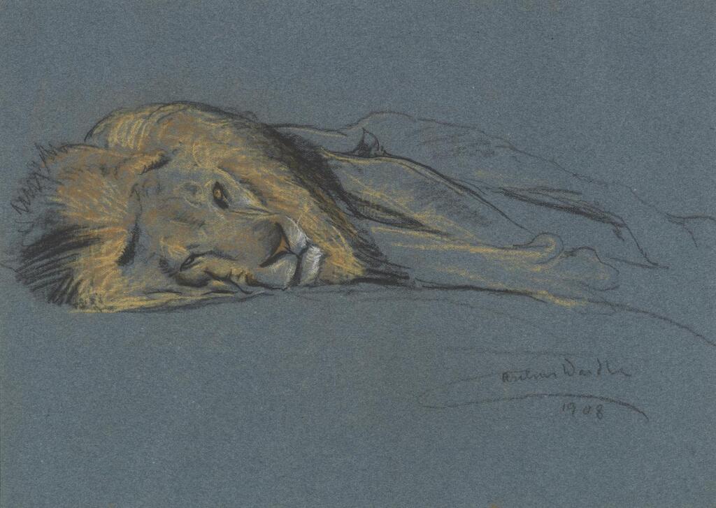 A sleeping lion (recto); and Study of a terrier (verso)