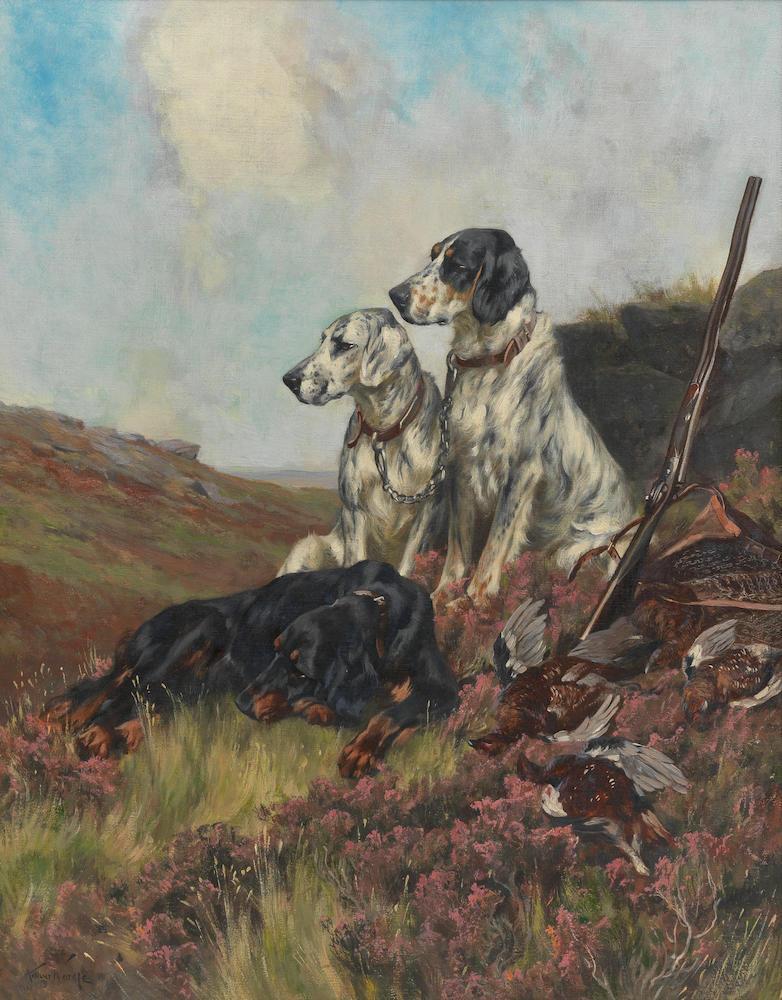 English Setters