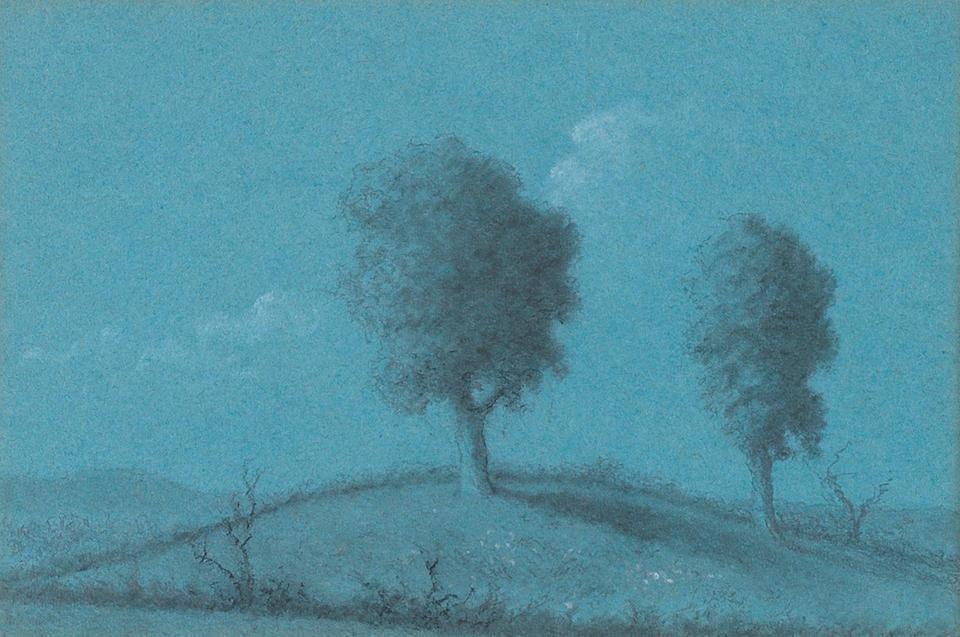 Study of Trees