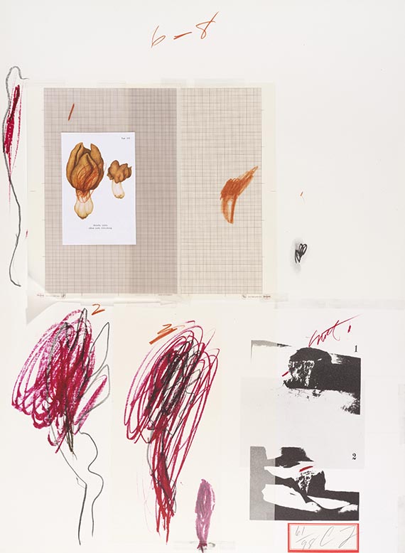 Cy Twombly, Natural History Part I, Mushrooms