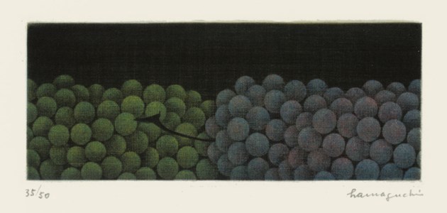 GRAPES IN TWO COLOURS MUD SNAILS