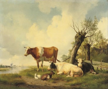 Cattle on the waterfront