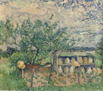 Beehives in the garden
