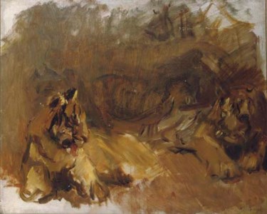 Lions