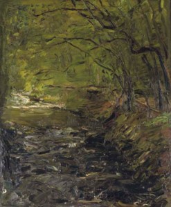 A forest creek