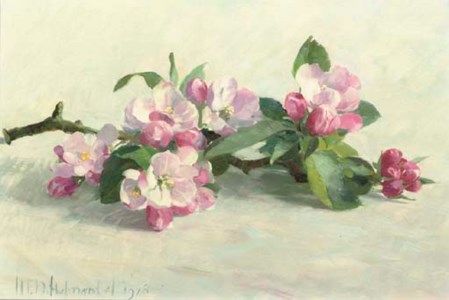 Apple blossom