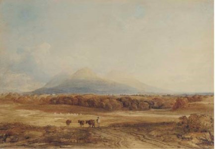 Droving cattle