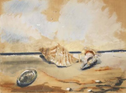 Filippo De Pisis, Conchiglie