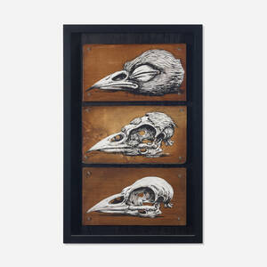 Decaying Bird Head