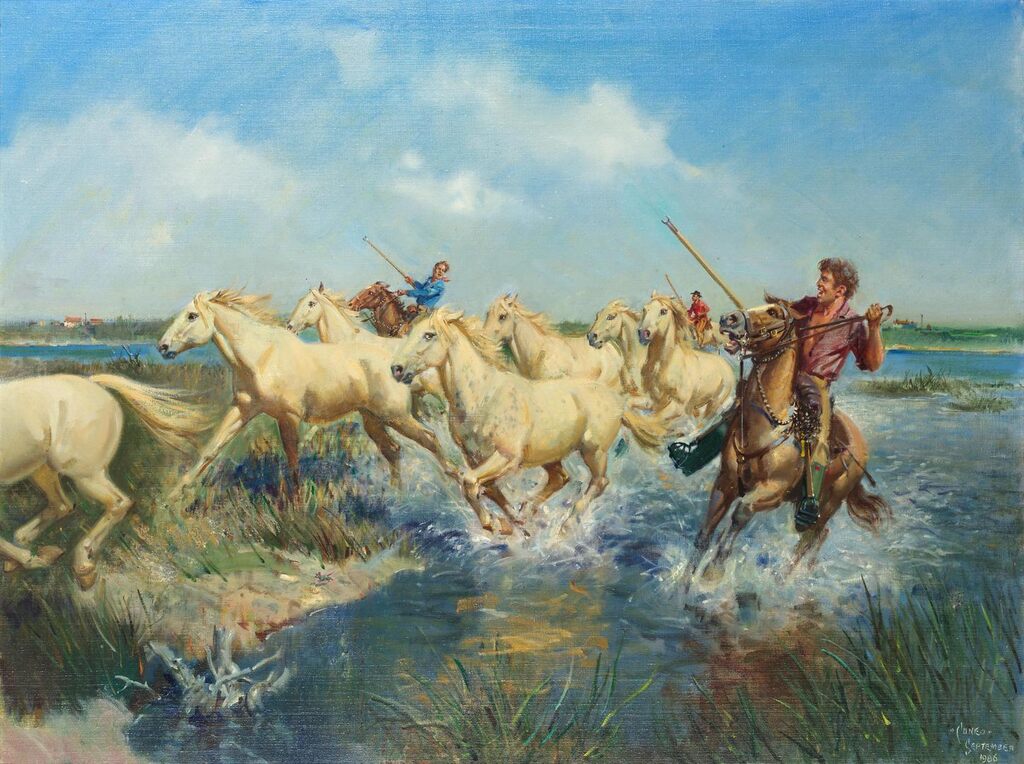 Wild Horses of the Camargue