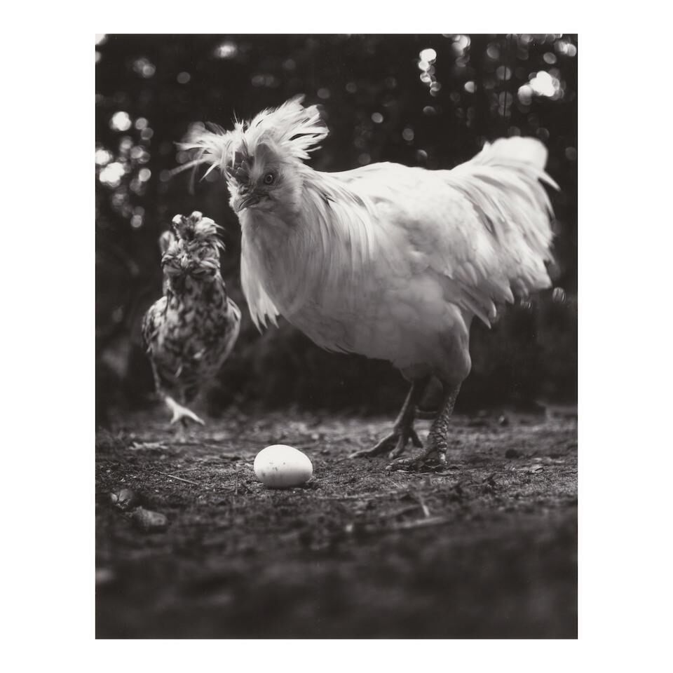 'September 30 3:53pm The Sky is Falling, spacetime' (Shinnecock with Susanna), 2009
