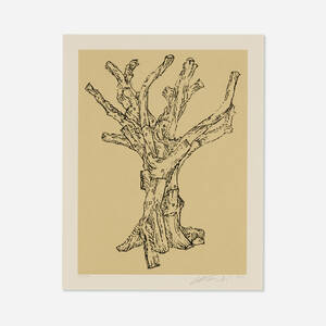 Cedar