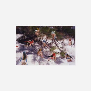 Wild Birds Under Pine