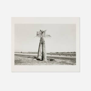 Desert
